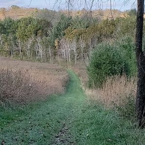 Meet your Posher, Jen